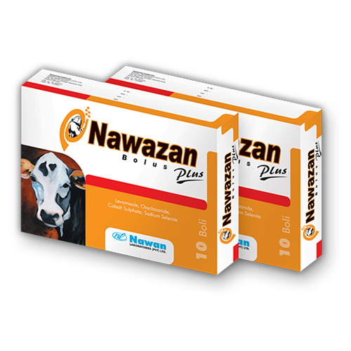 NAWAZAN PLUS BOLUS pack shot